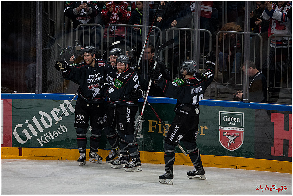 DEL, Koelner Haie - Fishtown Pinguins Bremerhaven, 29.01.2017